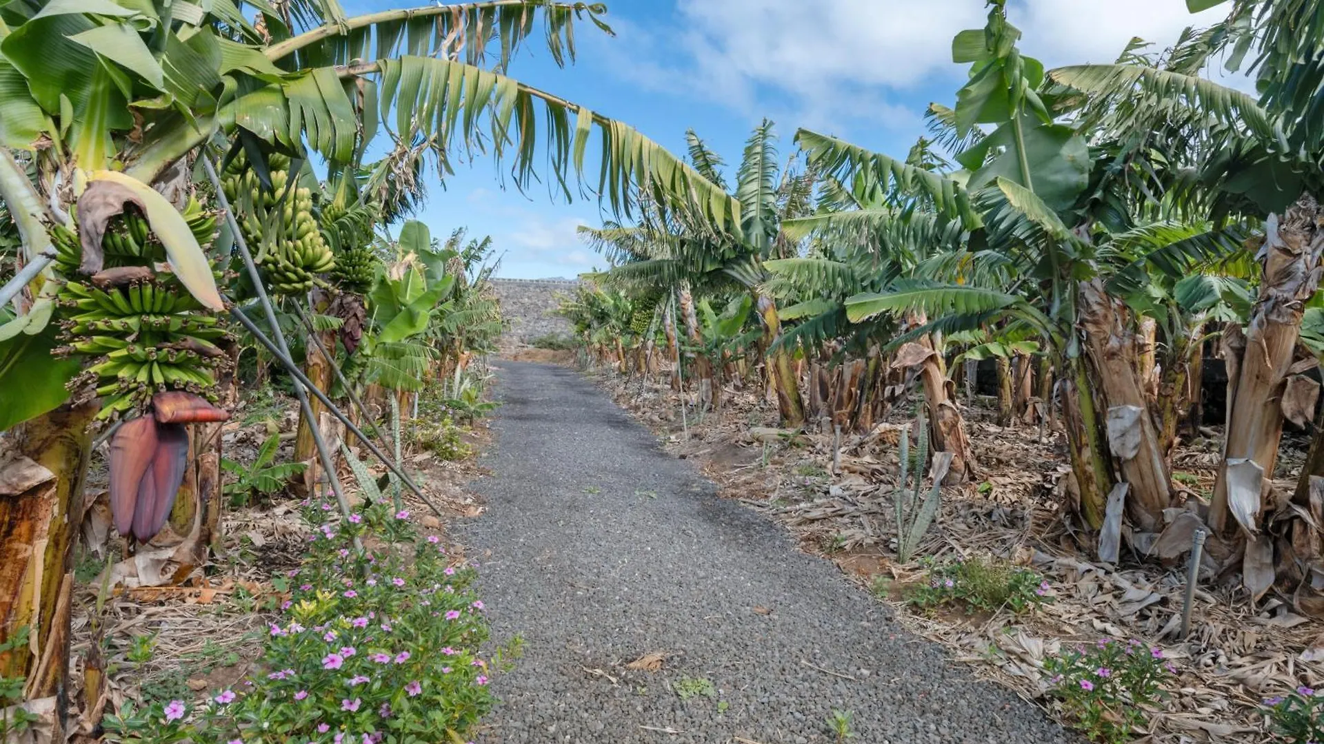 Villa Dely Tazacorte 0*,